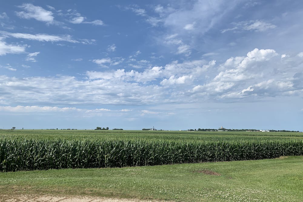 Photo of Others in Williams
