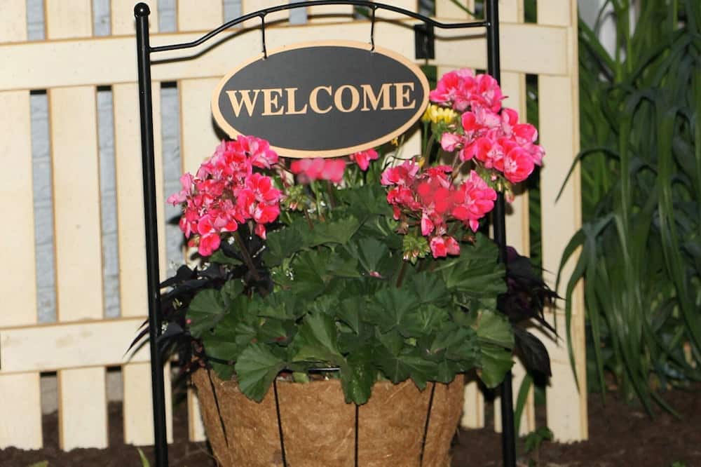 Photo of Outdoor in Wellman