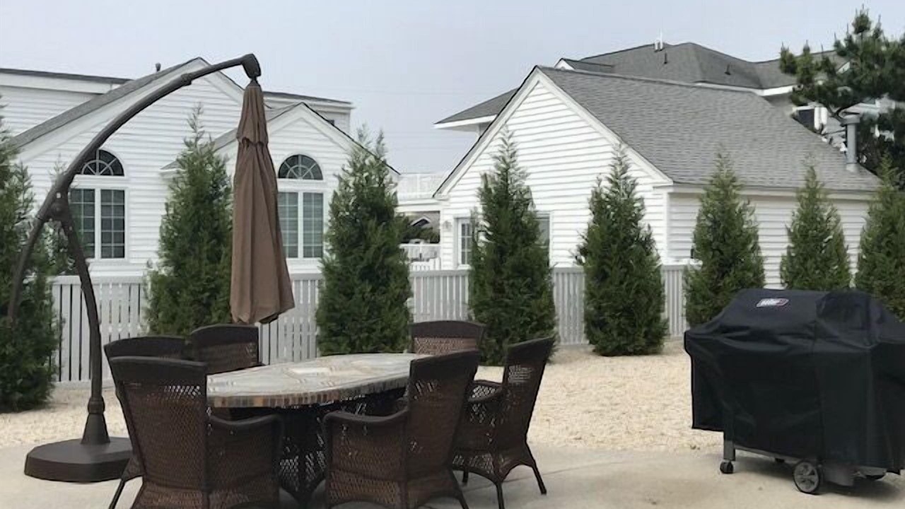 Photo of Outdoor in Stone Harbor