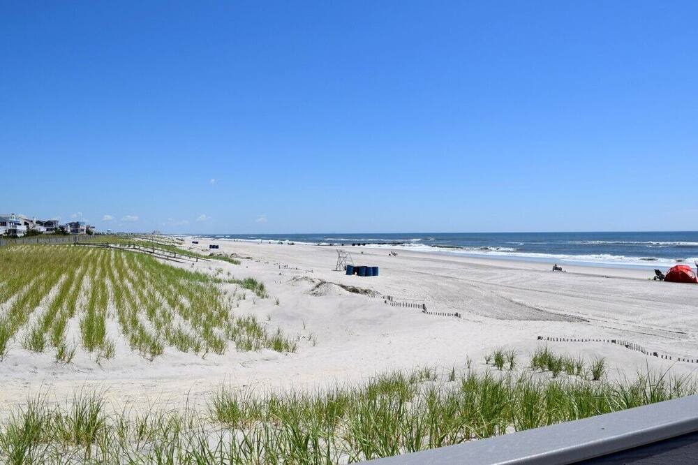 Photo of Others in Townsend's Inlet