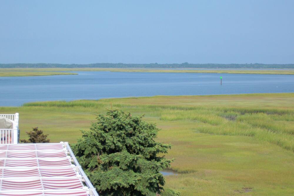 Photo of Others in Townsend's Inlet