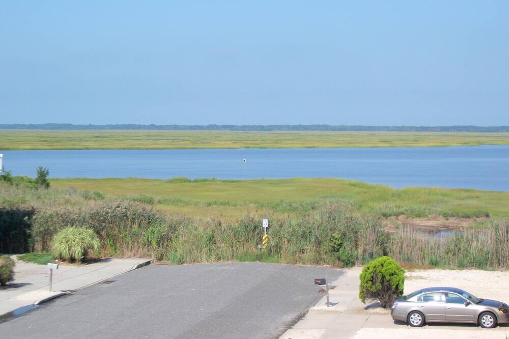 Photo of Others in Townsend's Inlet