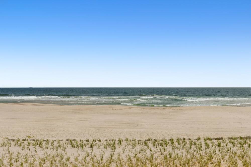 Photo of Others in Lavallette
