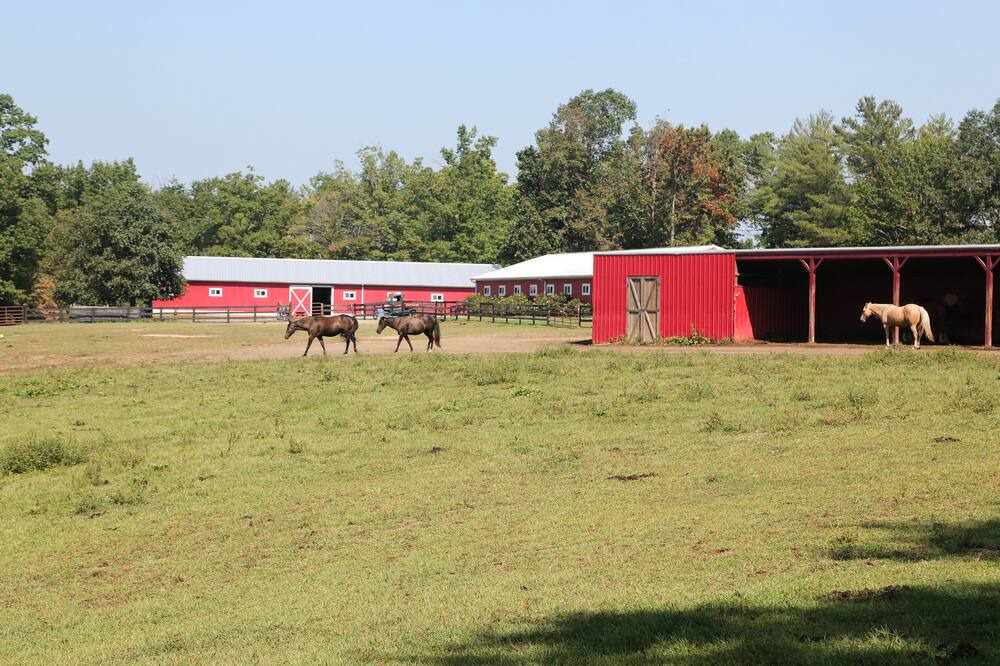 Photo of Others in Gordonsville
