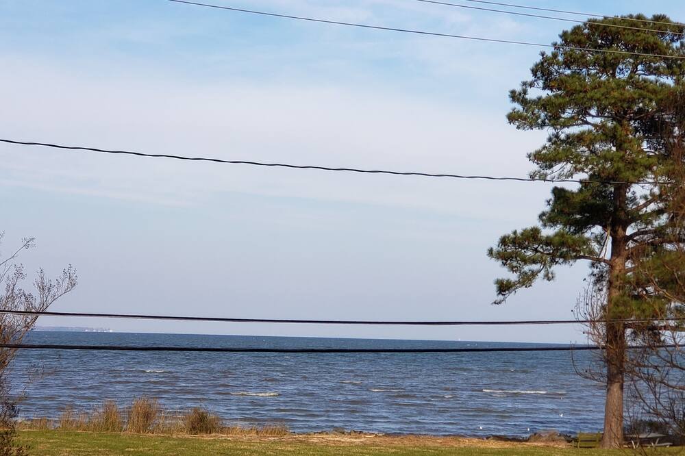 Photo of Others in Rose Haven