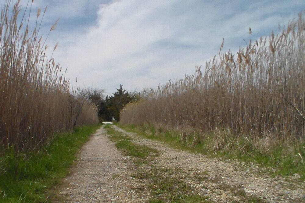 Photo of Outdoor in Green Creek