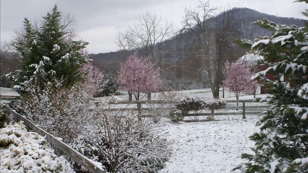Photo of Outdoor in Brightwood