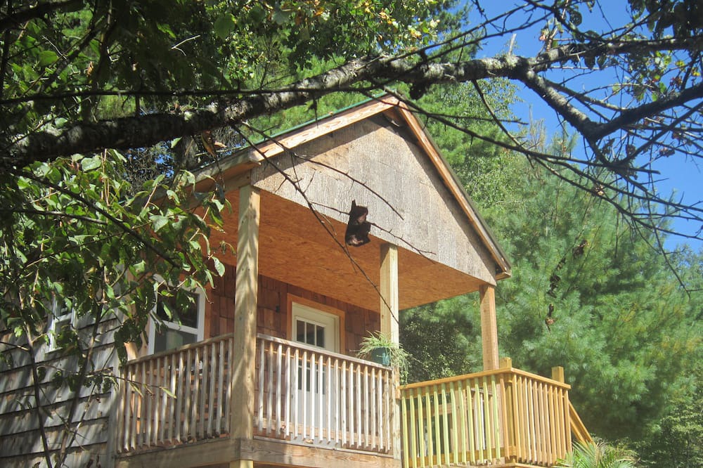 Photo of Outdoor in Mountain City