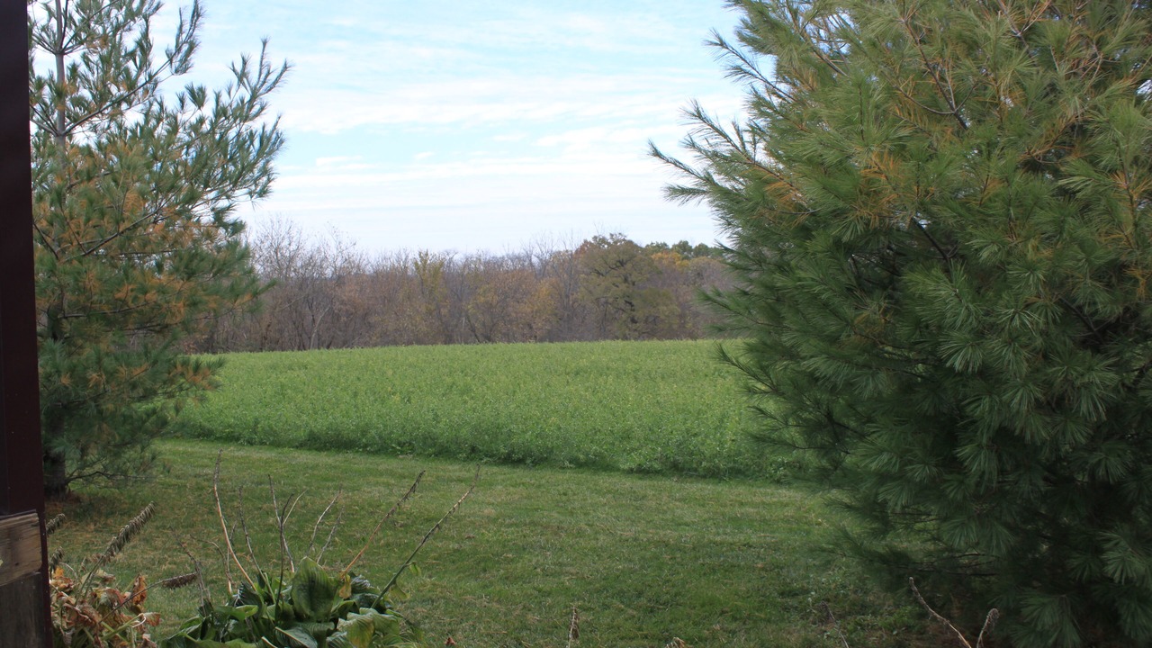 Photo of Outdoor in Knoxville