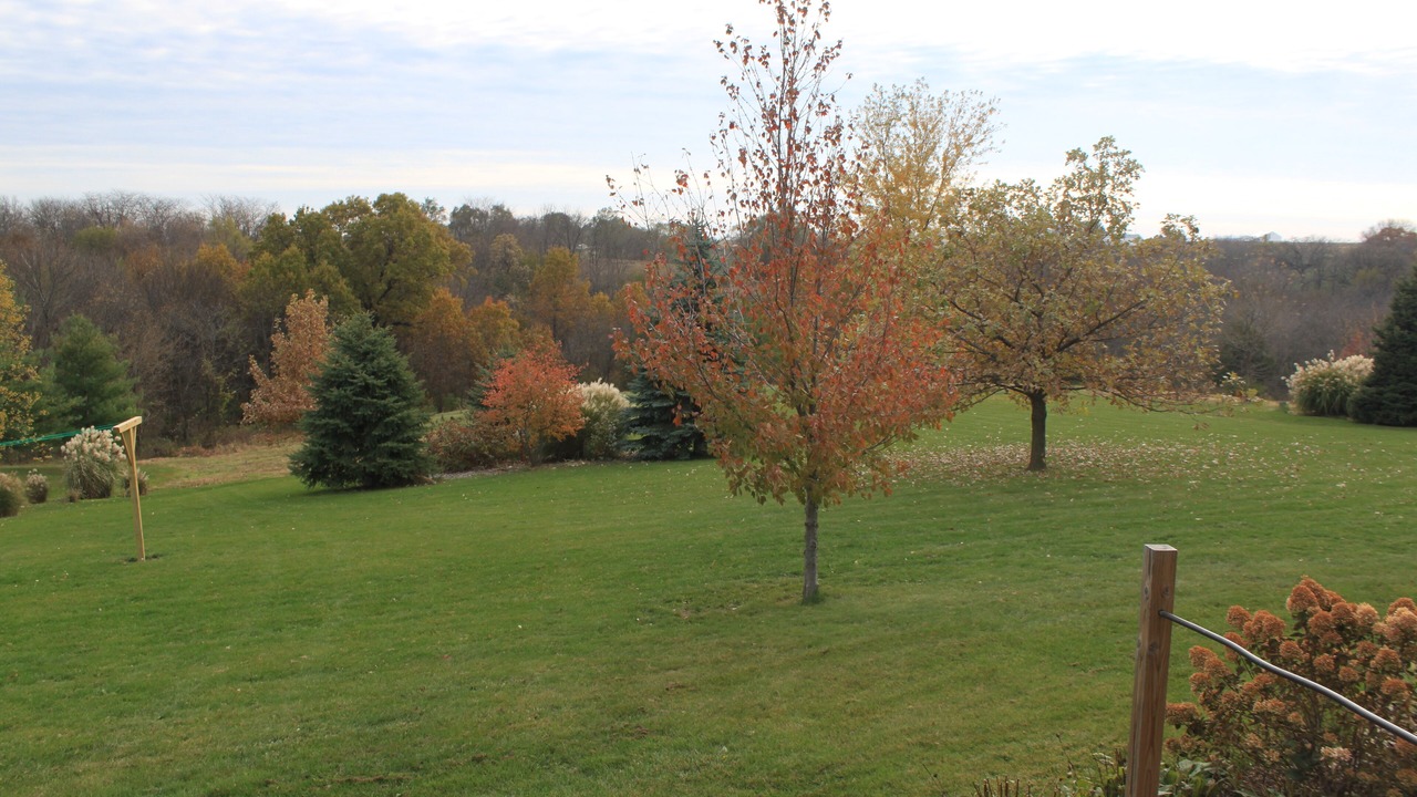 Photo of Outdoor in Knoxville