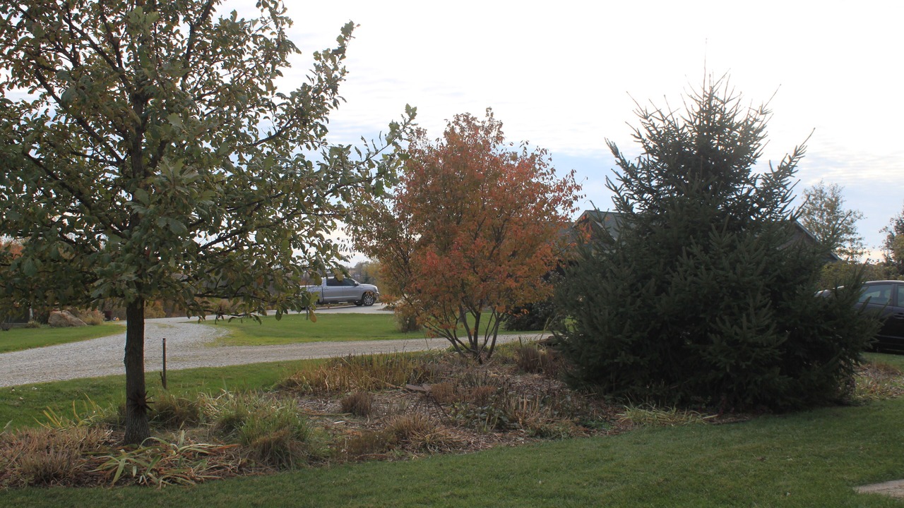 Photo of Outdoor in Knoxville