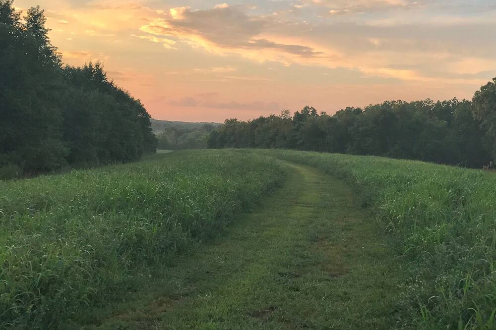 Photo of Outdoor in Pilot Grove