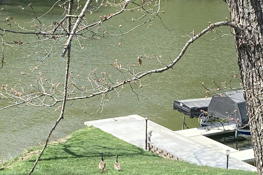 Photo of Outdoor in Langworthy
