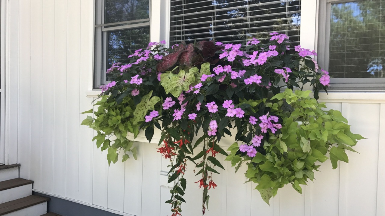 Photo of Outdoor in Rehoboth by the Sea