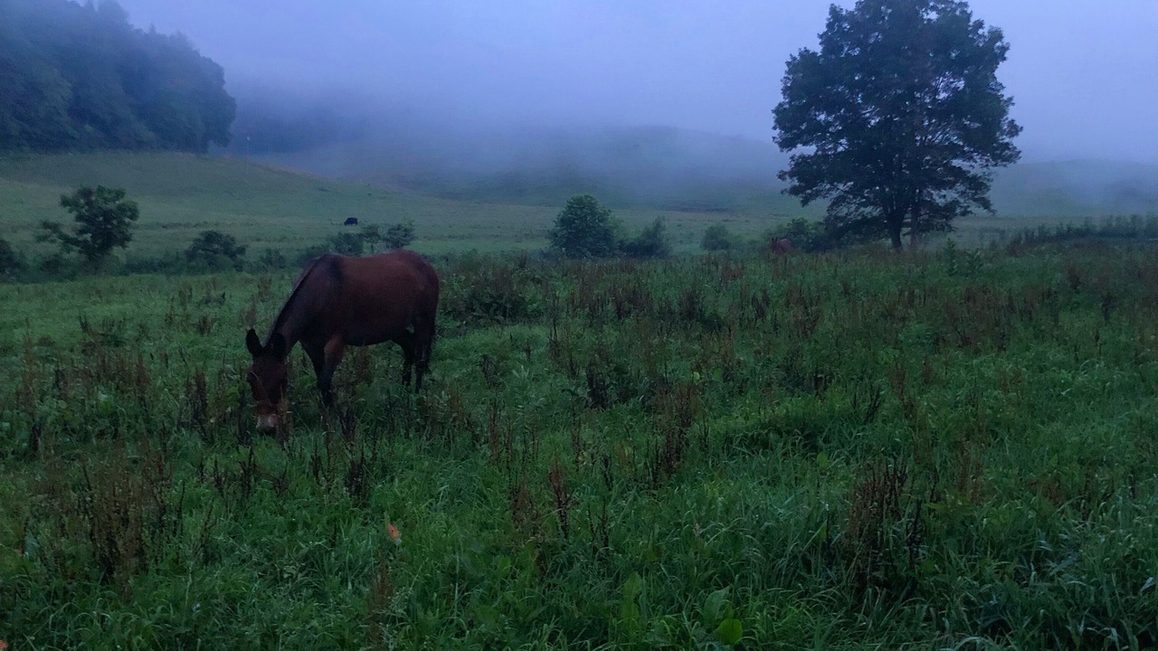 Photo of Outdoor in Sugar Grove