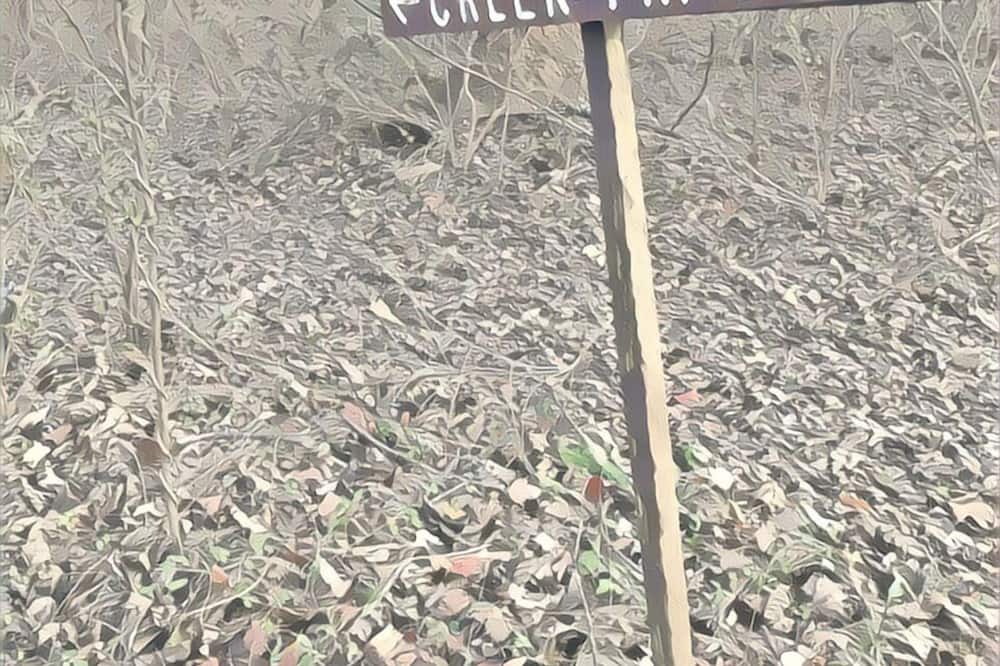 Photo of Others in Airville