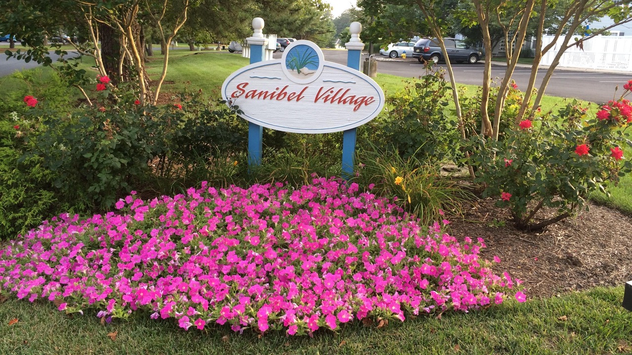 Photo of Outdoor in Rehoboth Beach