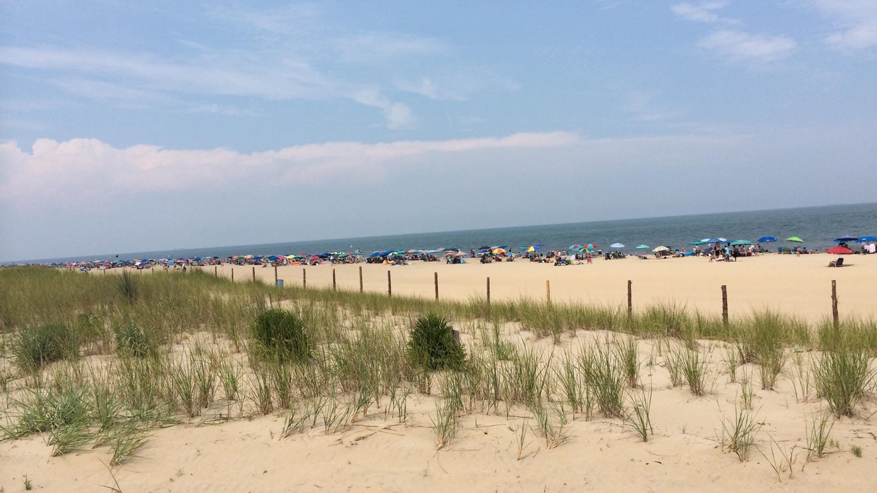 Photo of Others in Rehoboth Beach