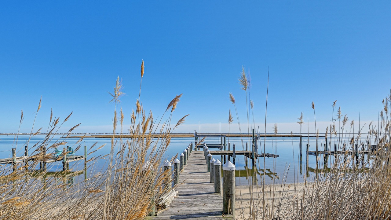 Photo of Others in Beach Haven West