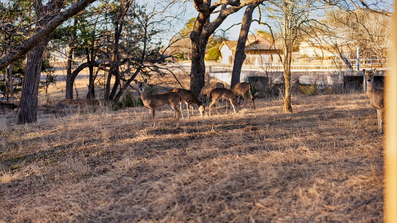 Photo of Others in Round Rock West