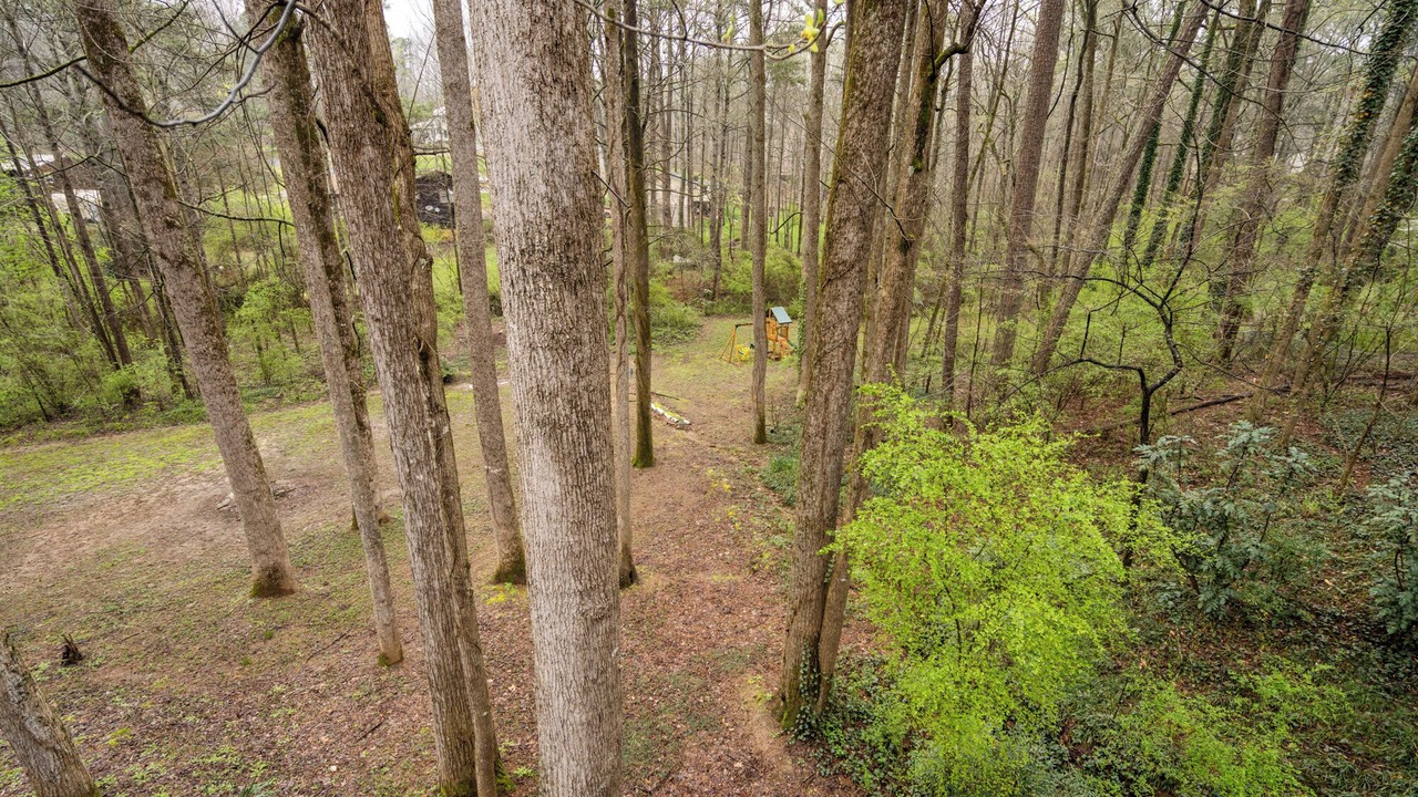 Photo of Others in Woodstock