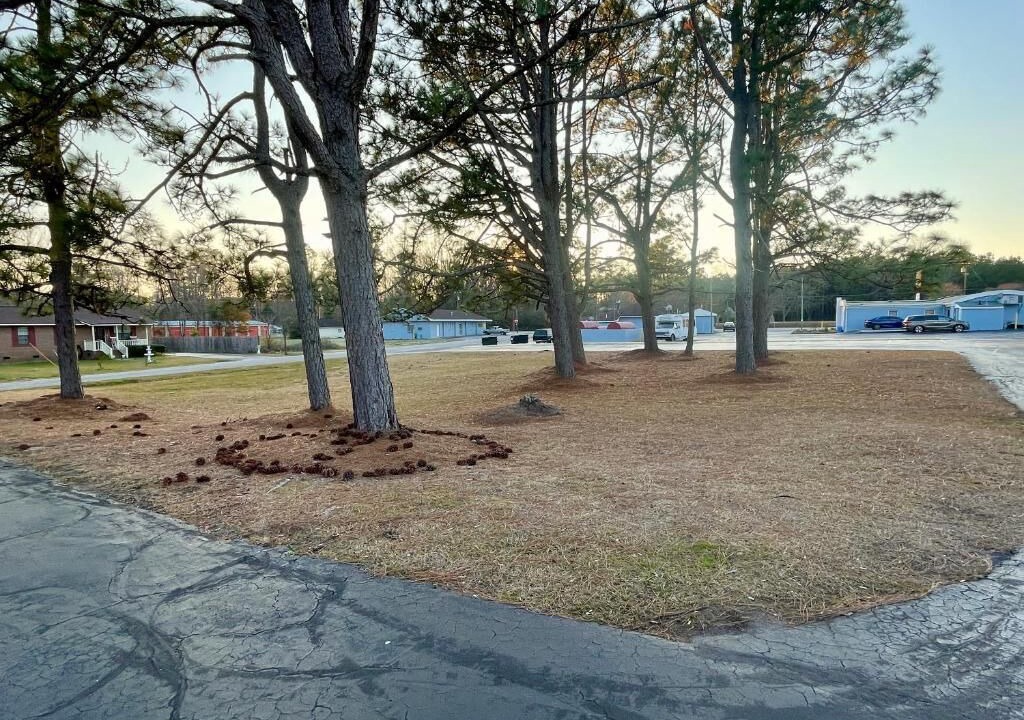 Photo of Outdoor in Mullins