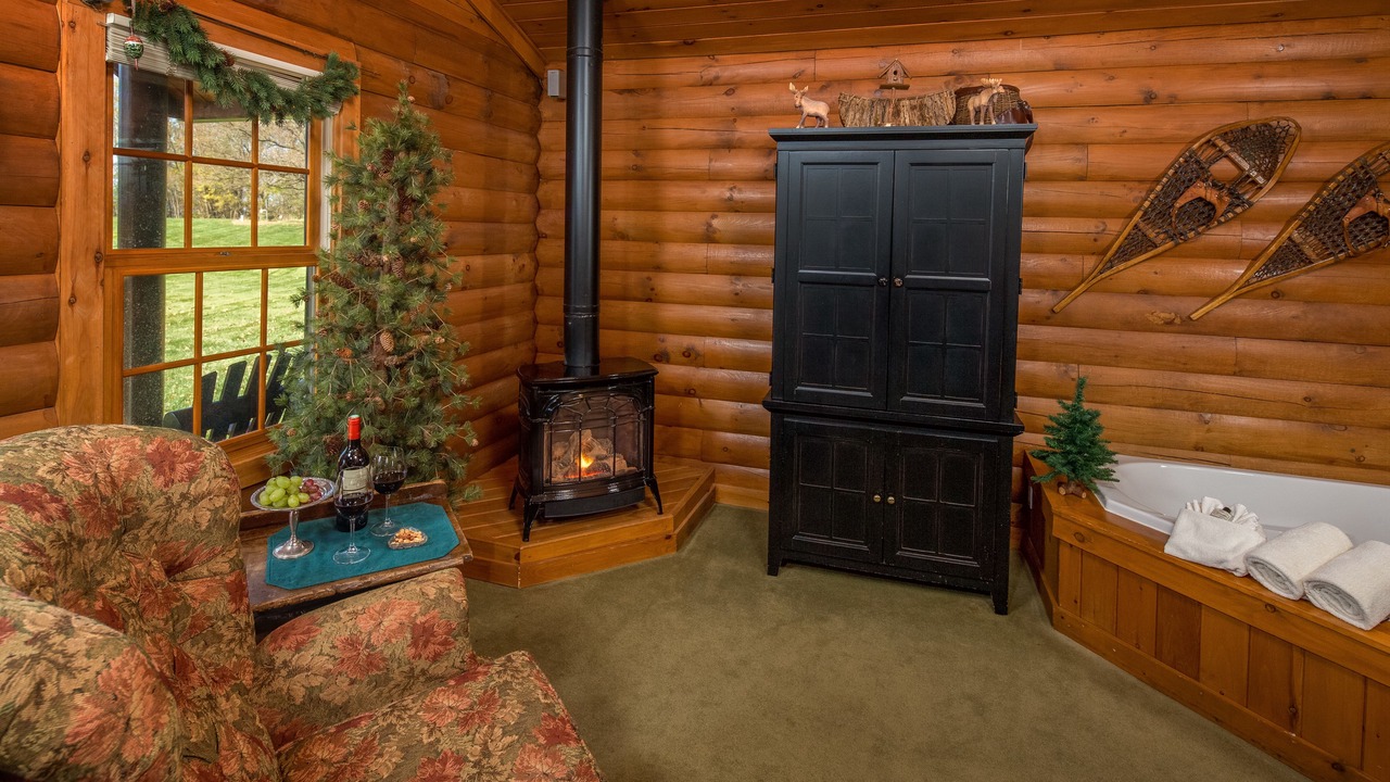Photo of Livingroom in Galena