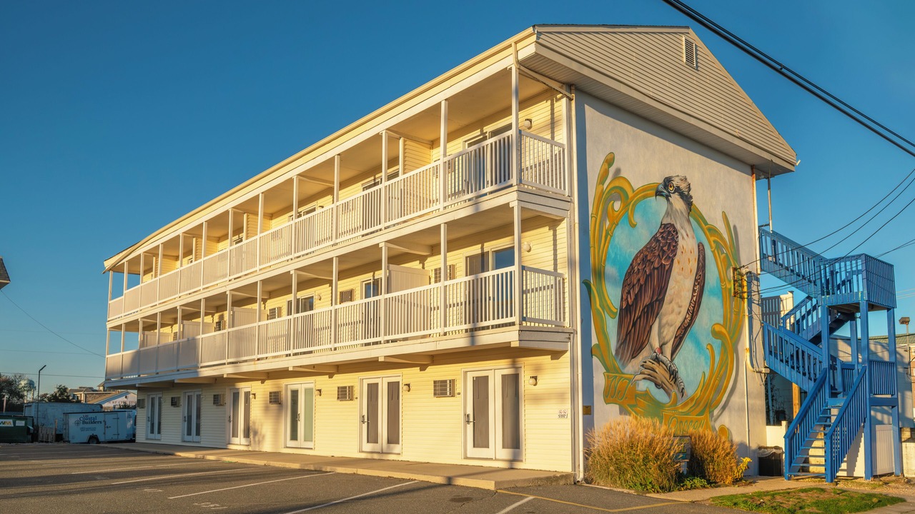 Photo of Outdoor in Ship Bottom