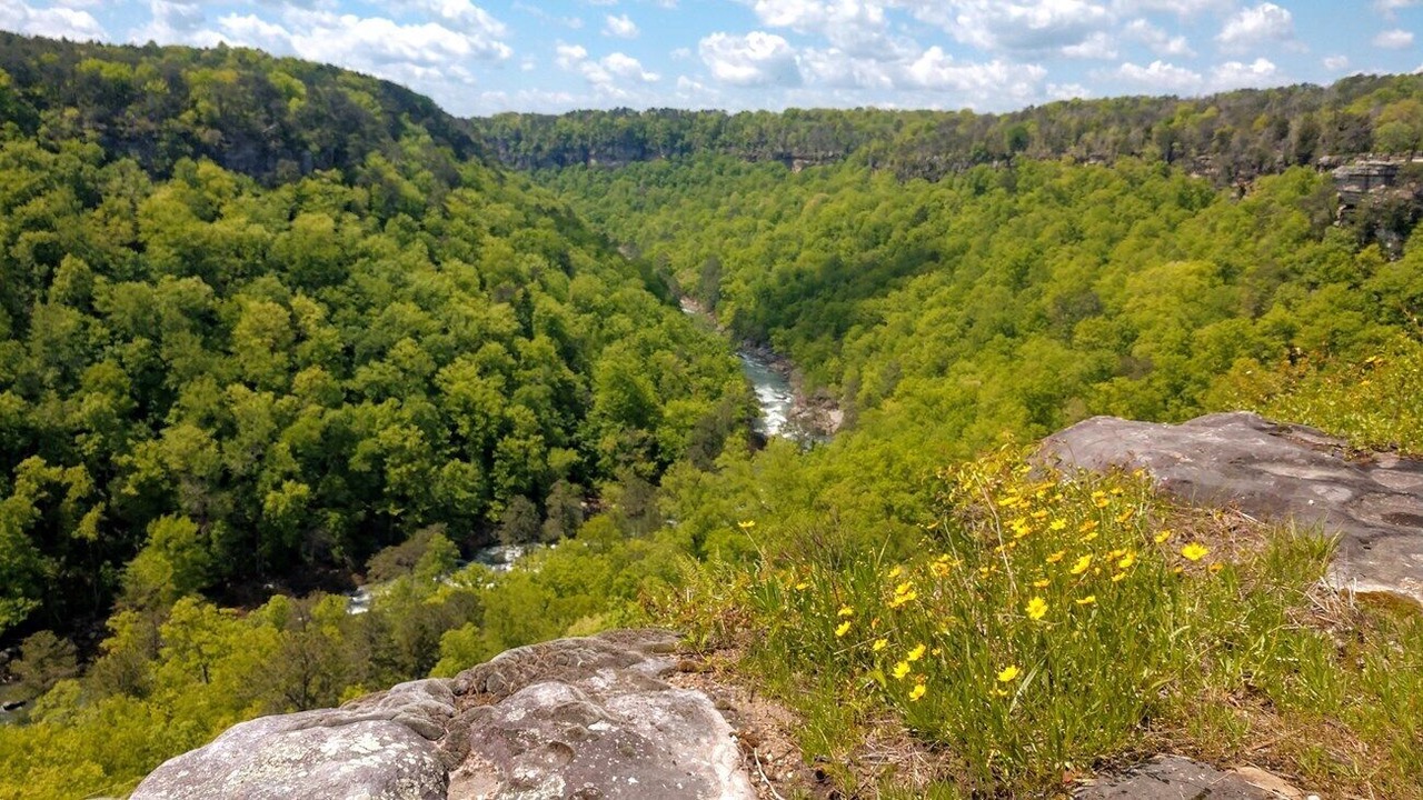 Photo of Outdoor in Centre