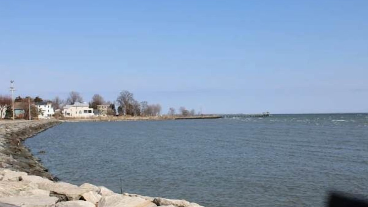 Photo of Others in Cape Anne