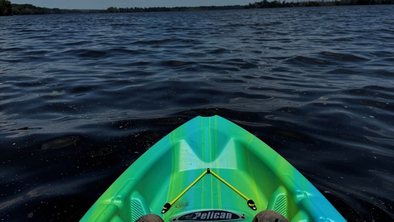 Photo of Others in Yarmouth