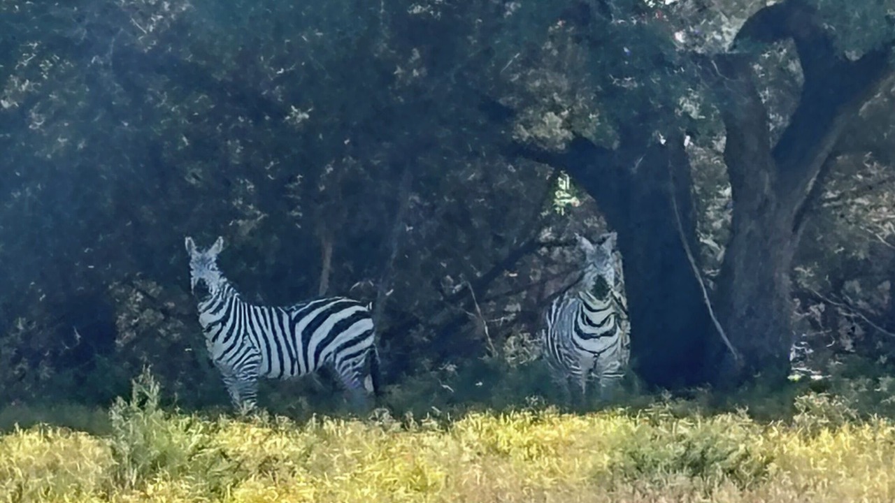 Photo of Outdoor in Gatesville
