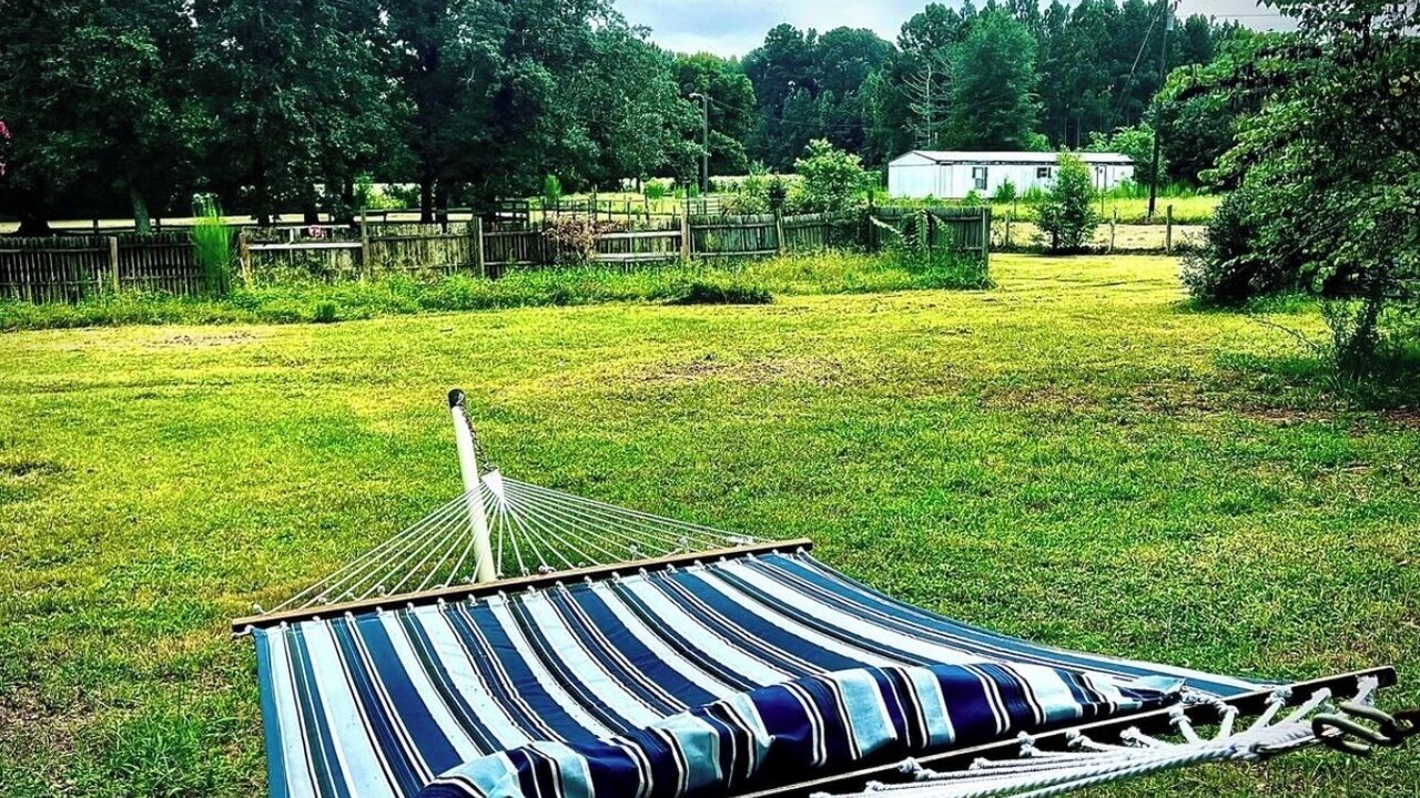 Photo of Outdoor in Wake County