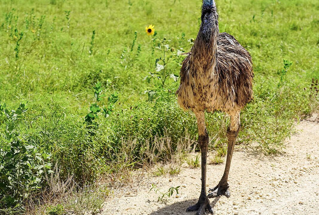 Photo of Others in Gatesville