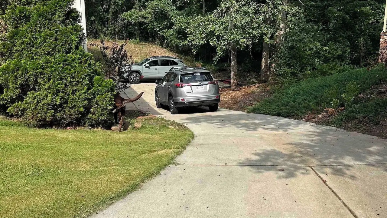 Photo of Outdoor in Marietta