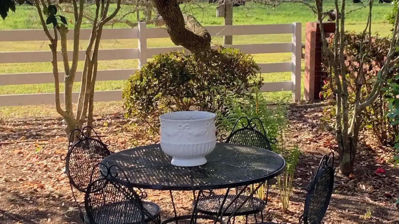 Photo of Outdoor in Williamsburg County