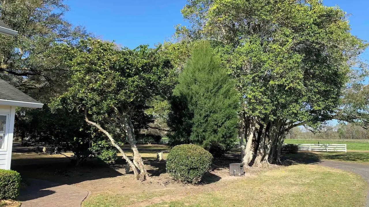 Photo of Outdoor in Williamsburg County