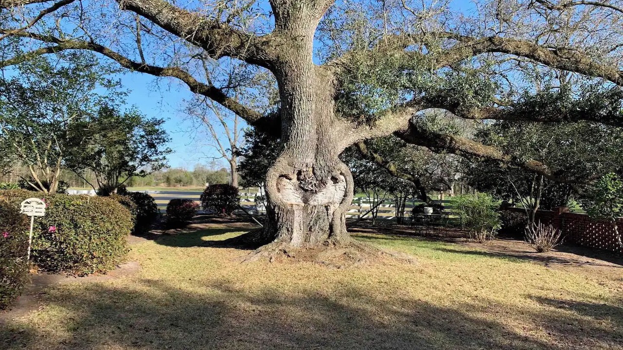 Photo of Outdoor in Williamsburg County