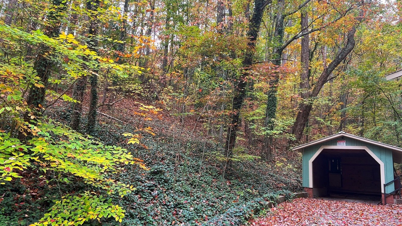 Photo of Outdoor in Fort Payne