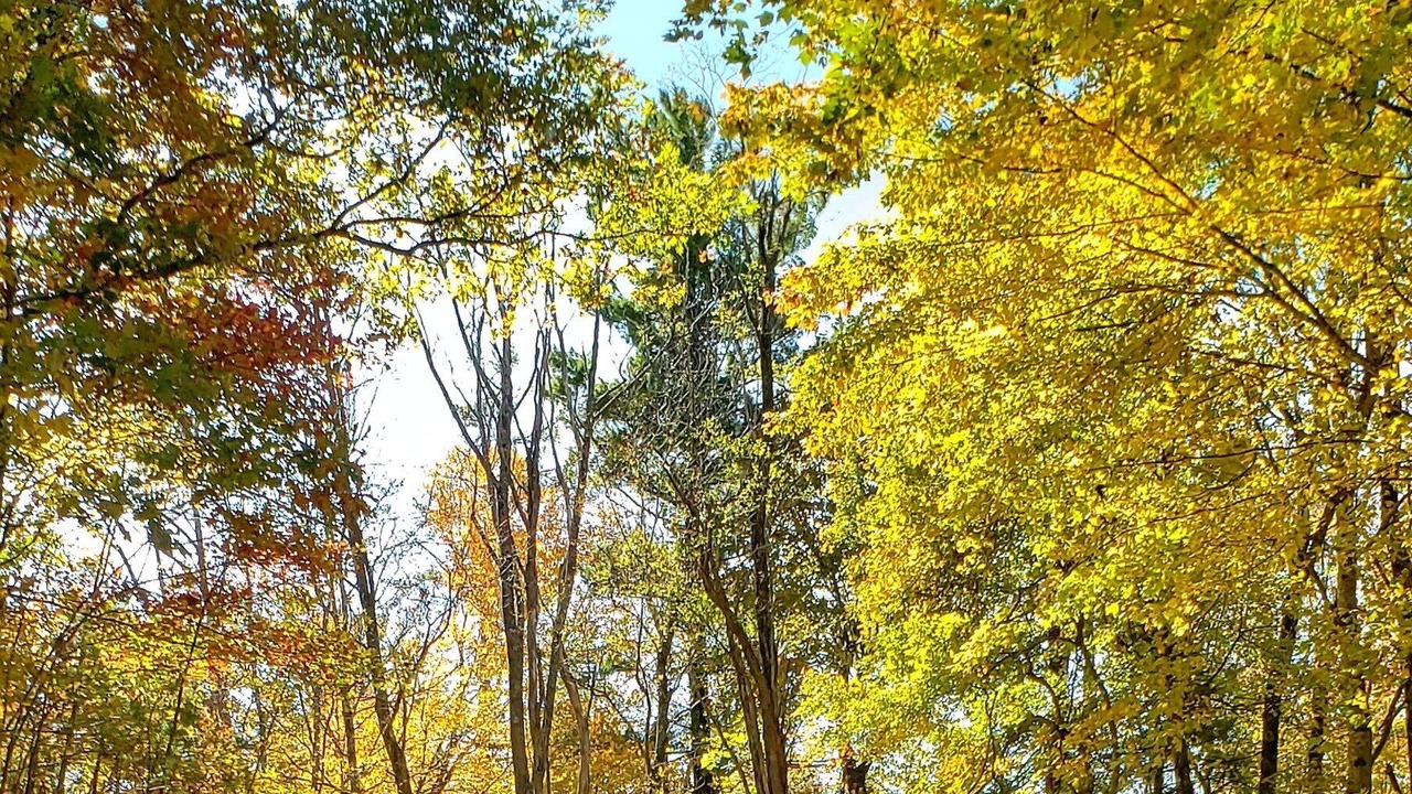 Photo of Outdoor in Frank