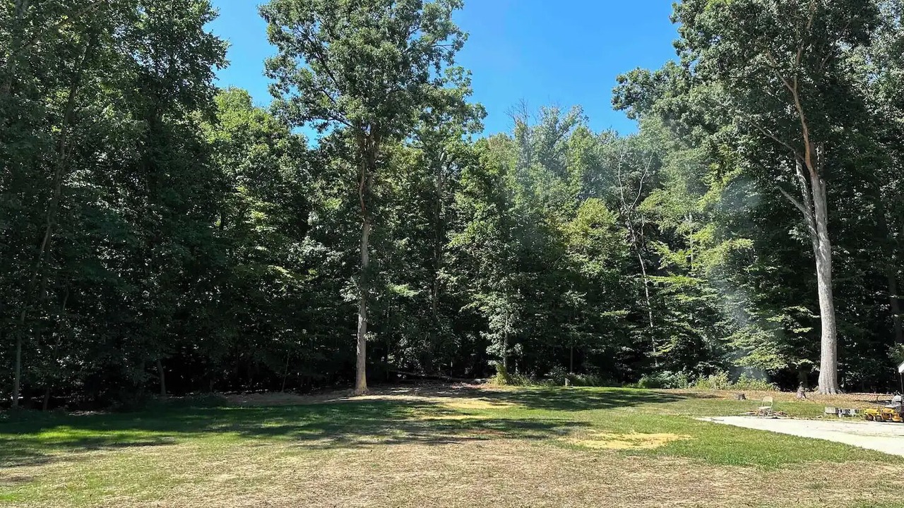Photo of Outdoor in Childs