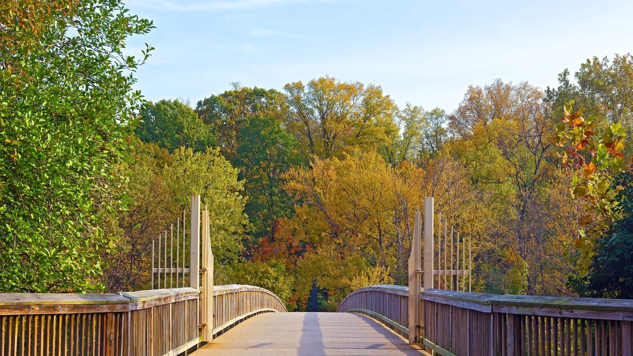 Photo of Outdoor in Radnor - Fort Myer Heights