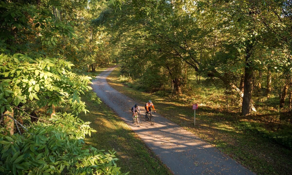Photo of Outdoor in North Raleigh