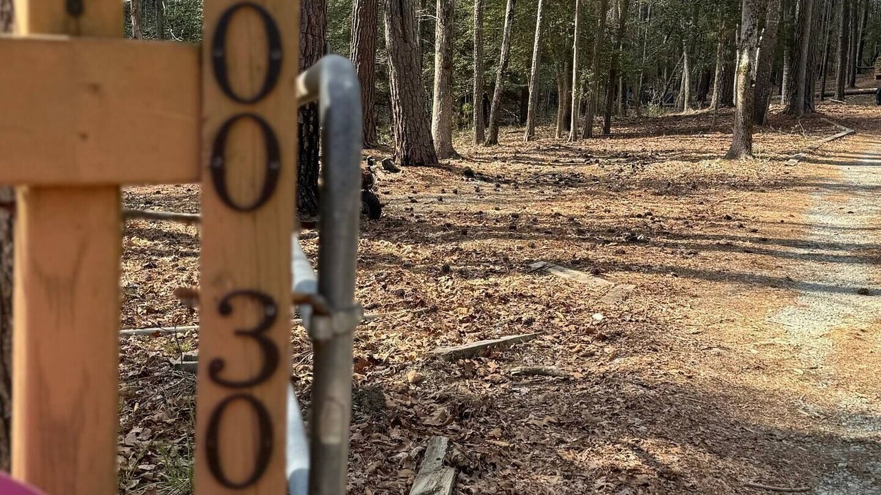 Photo of Outdoor in Bynum