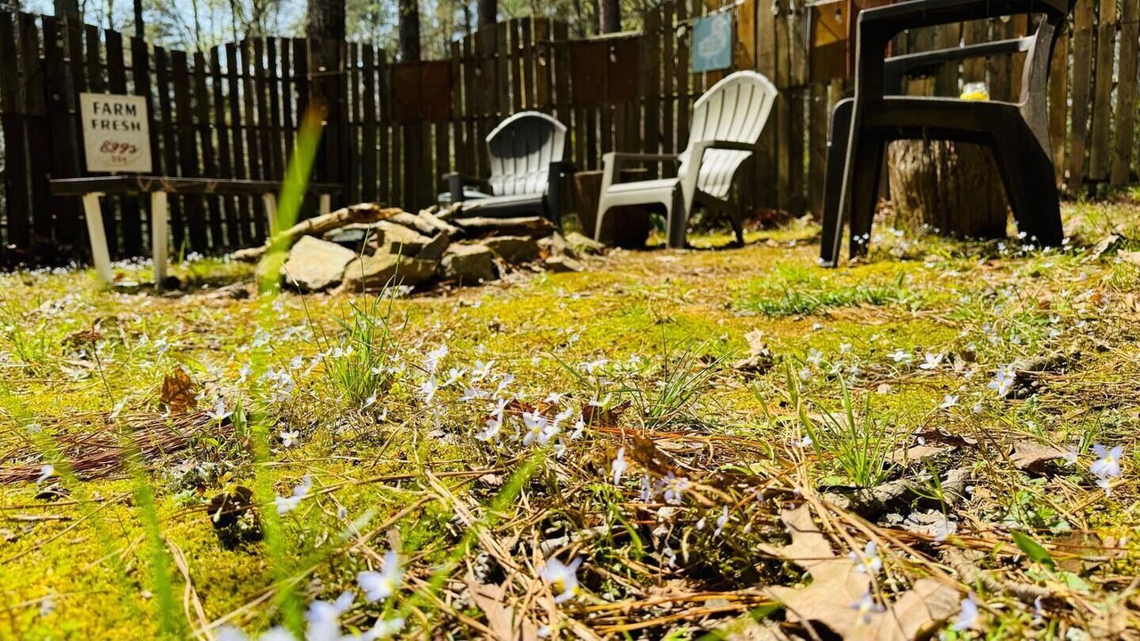 Photo of Outdoor in Bynum