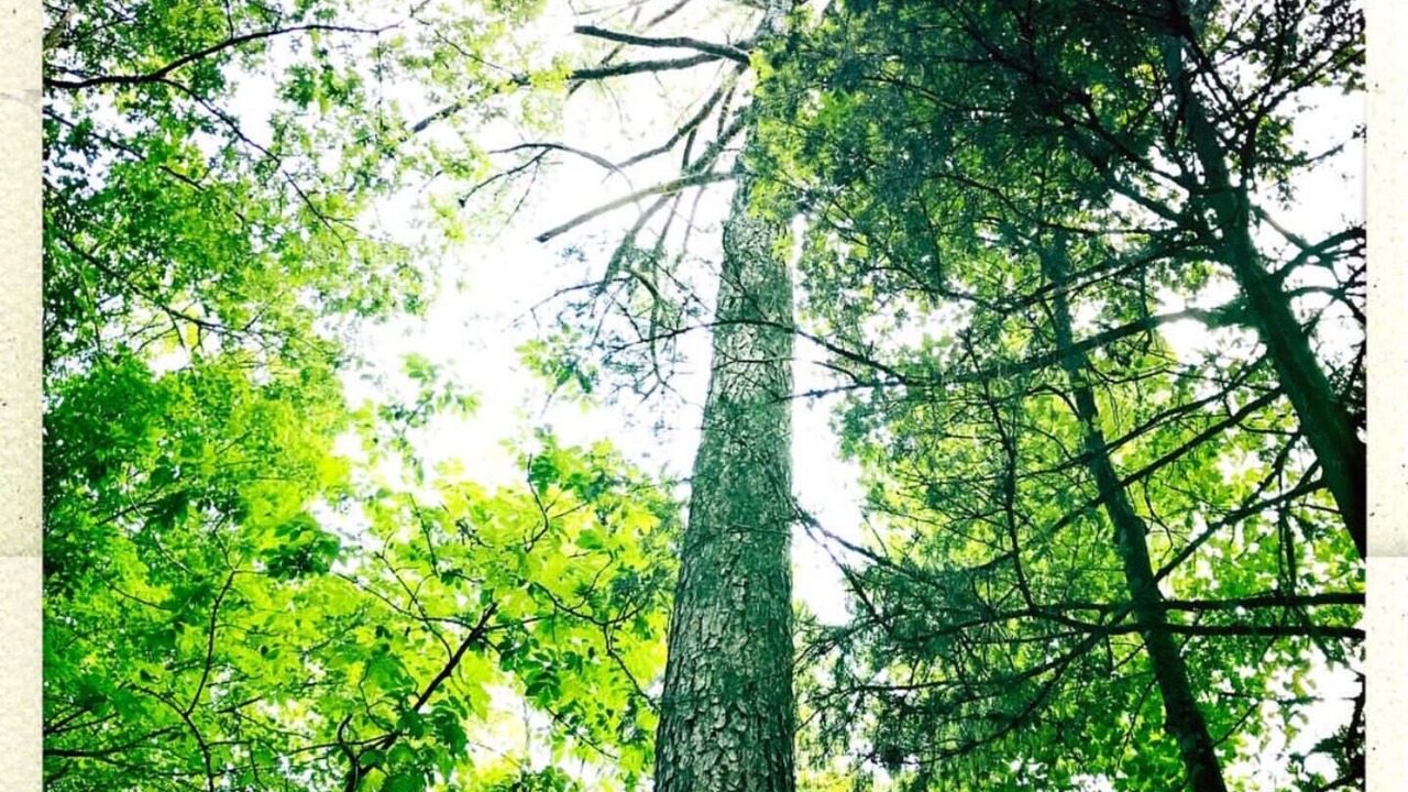 Photo of Outdoor in Bynum