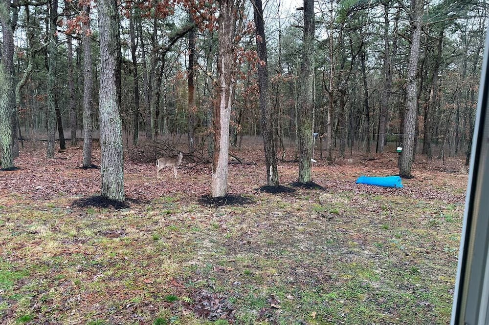 Photo of Outdoor in Medford