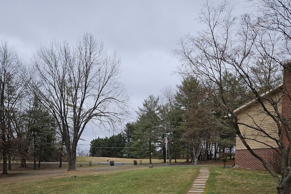 Photo of Outdoor in New Midway