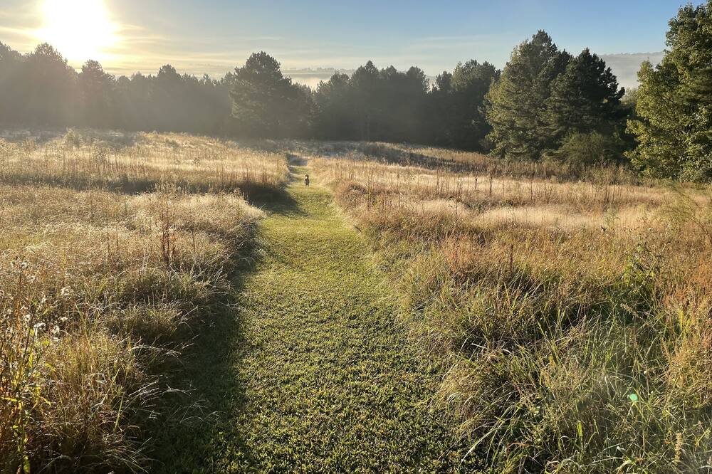 Photo of Outdoor in Summerville