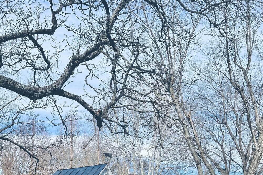 Photo of Outdoor in Hamilton